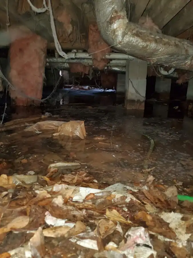 Crawl space flood assessment for Leak Detection & Repair in Thetford