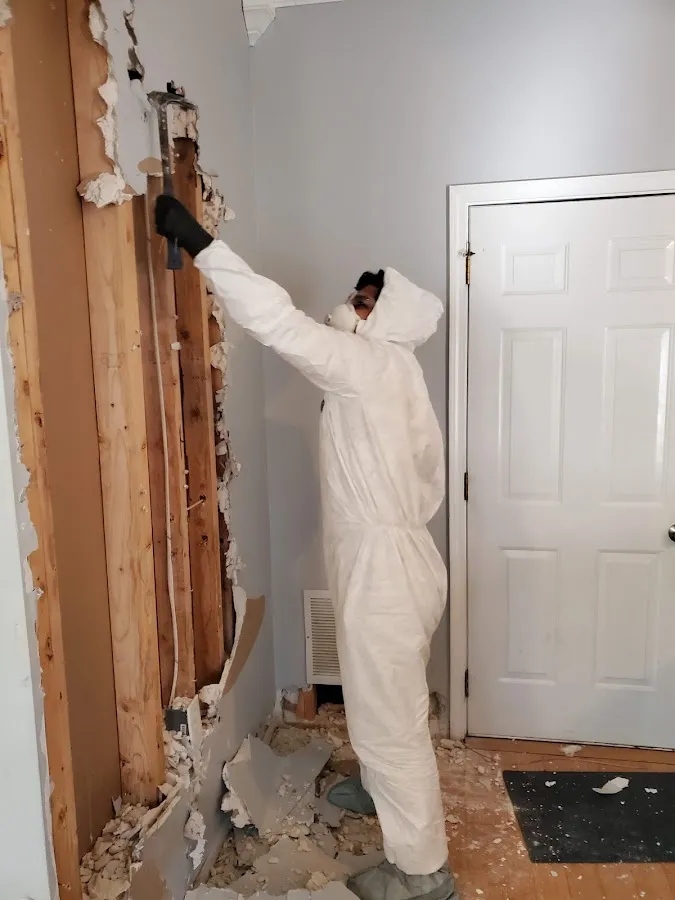 Mold Remediation & Removal in Thetford, MI